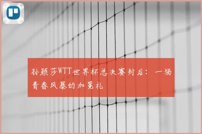孙颖莎WTT世界杯总决赛封后:一场青春风暴的加冕礼