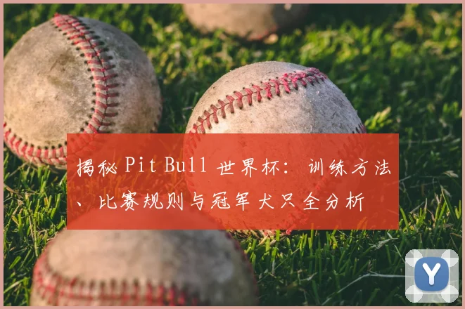 揭秘 Pit Bull 世界杯：训练方法、比赛规则与冠军犬只全分析
