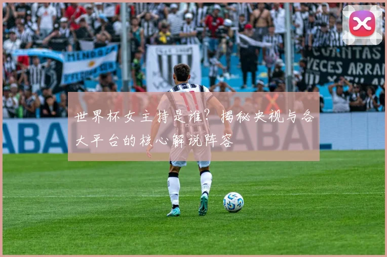 世界杯女主持是谁?揭秘央视与各大平台的核心解说阵容
