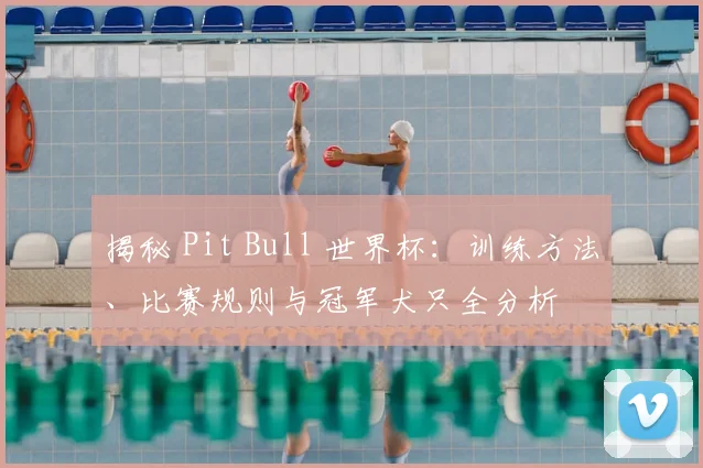 揭秘 Pit Bull 世界杯：训练方法、比赛规则与冠军犬只全分析