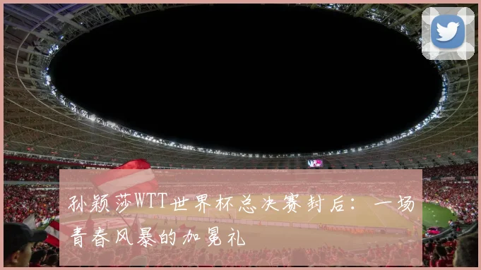 孙颖莎WTT世界杯总决赛封后:一场青春风暴的加冕礼