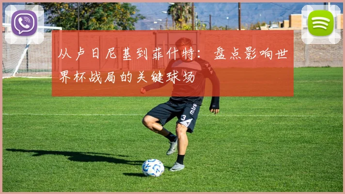 从卢日尼基到菲什特：盘点影响世界杯战局的关键球场